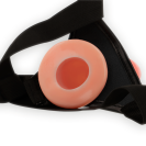 img_137904_ee81b2bcf579291e5c38b50818aaf078_1.png