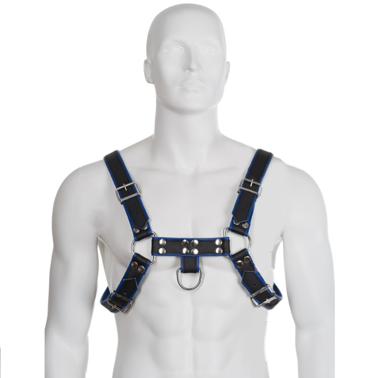 Leather body chest bulldog harness black/blue leather